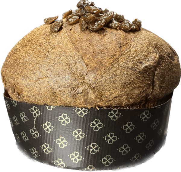 Panettone artigianale "Isolana" uva passa e malvasia delle Eolie - Novità 2024